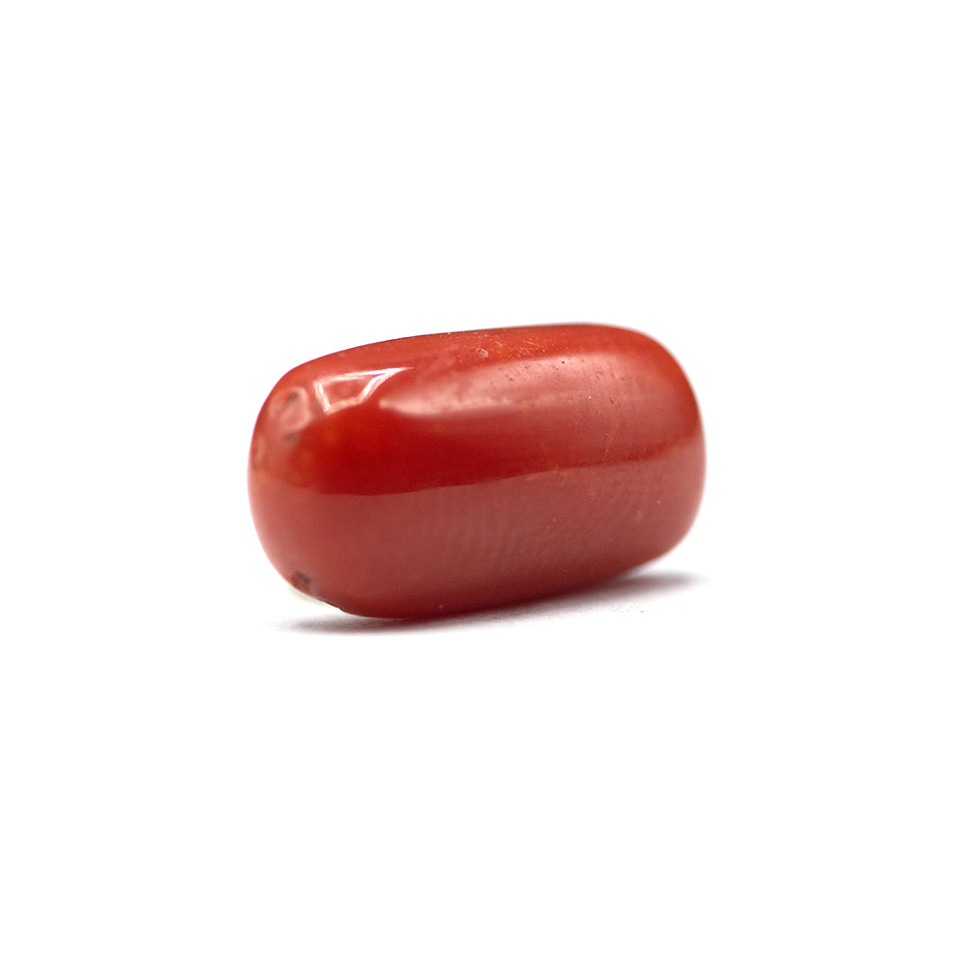 Coral - 4 crt
