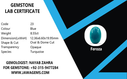 Lab Certified Feroza - 8.55 crt