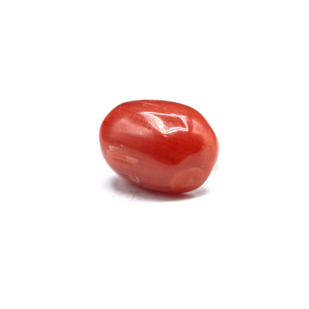 Coral - 3.2 crt