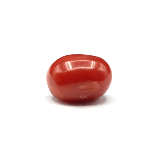Coral - 3.2 crt