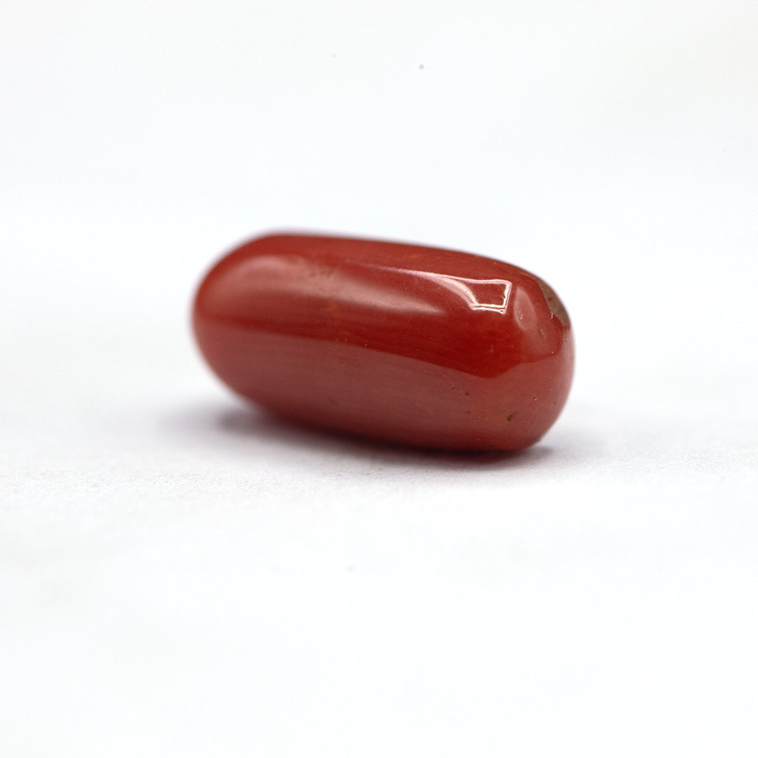 Coral - 5 crt