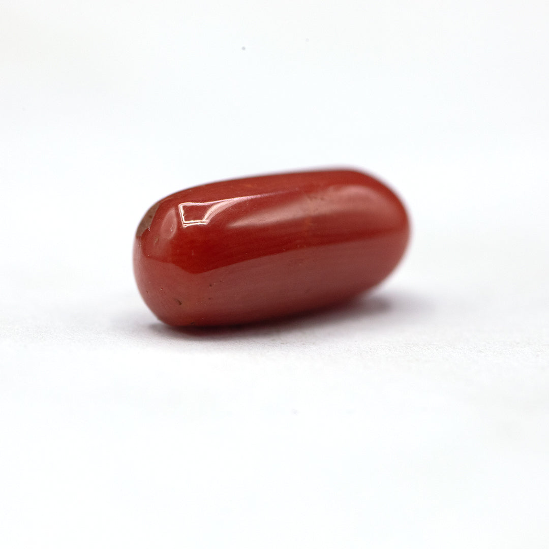 Coral - 5 crt