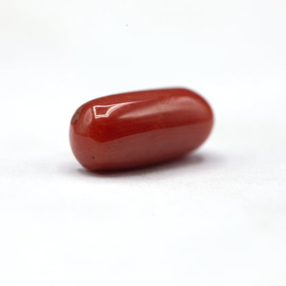 Coral - 5 crt
