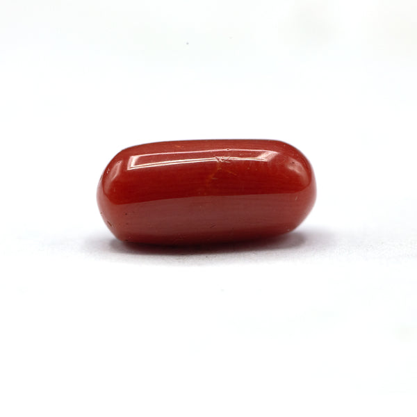 Coral - 5 crt