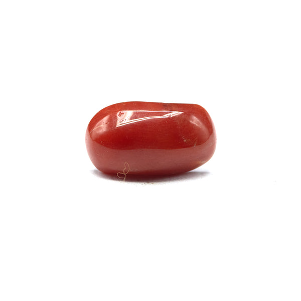 Coral - 4crt