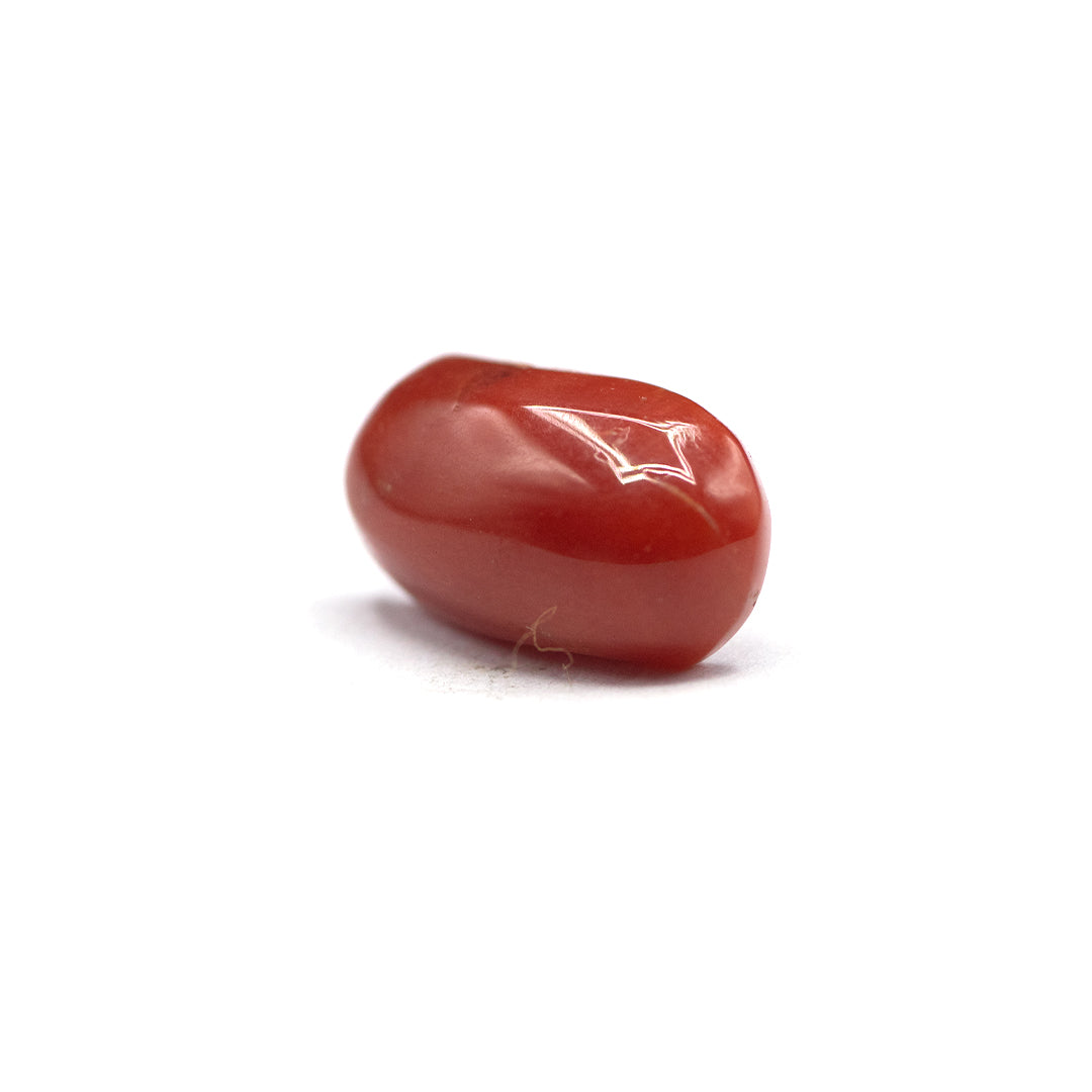 Coral - 4crt