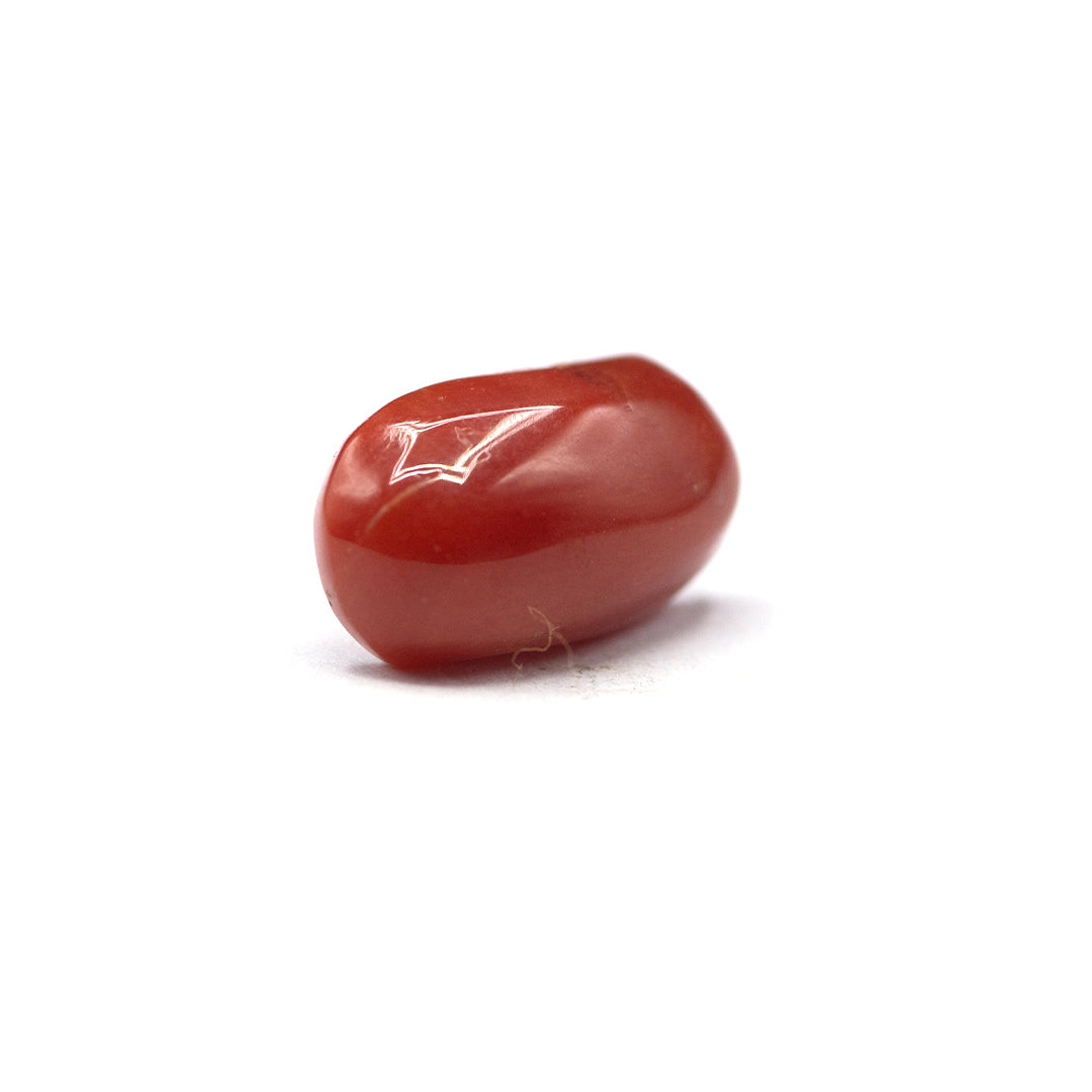 Coral - 4crt