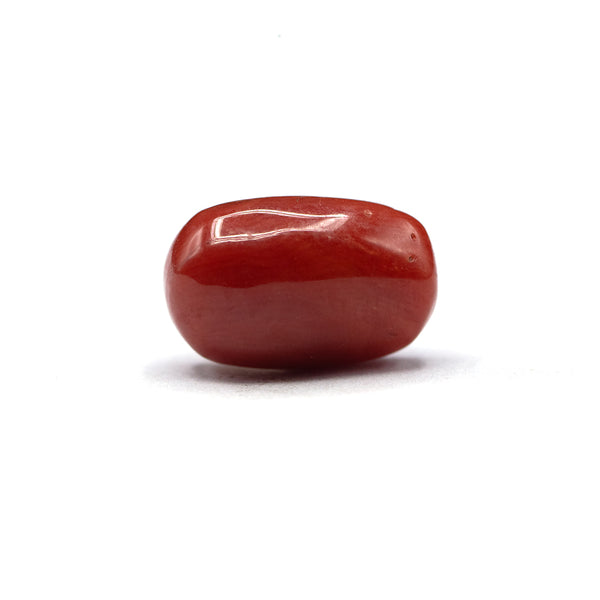 Coral - 4 crt