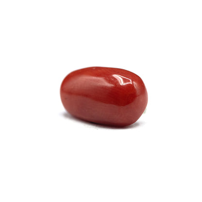 Coral - 4 crt