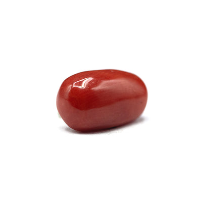 Coral - 4 crt