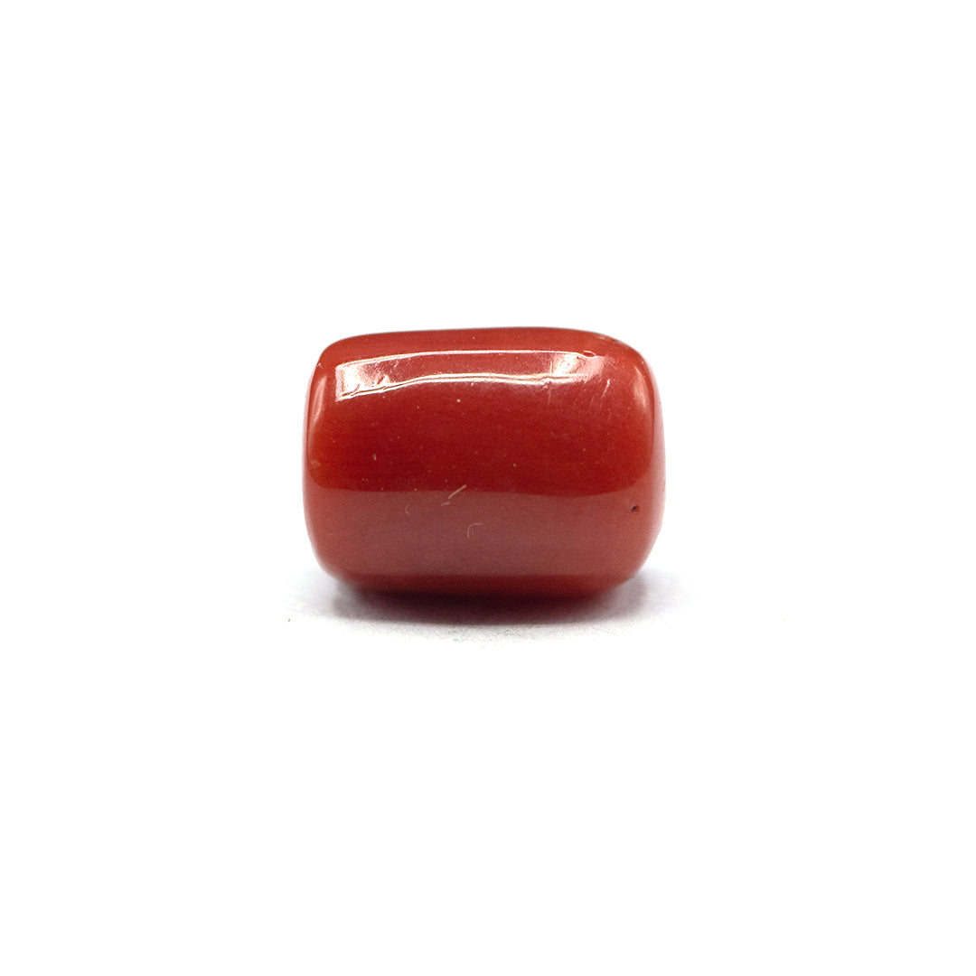 Coral - 5 crt