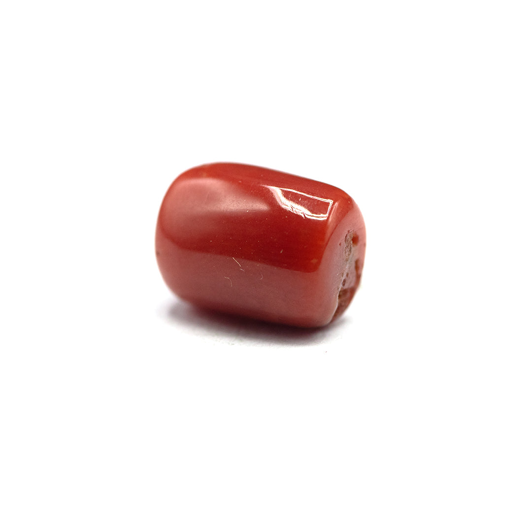 Coral - 5 crt