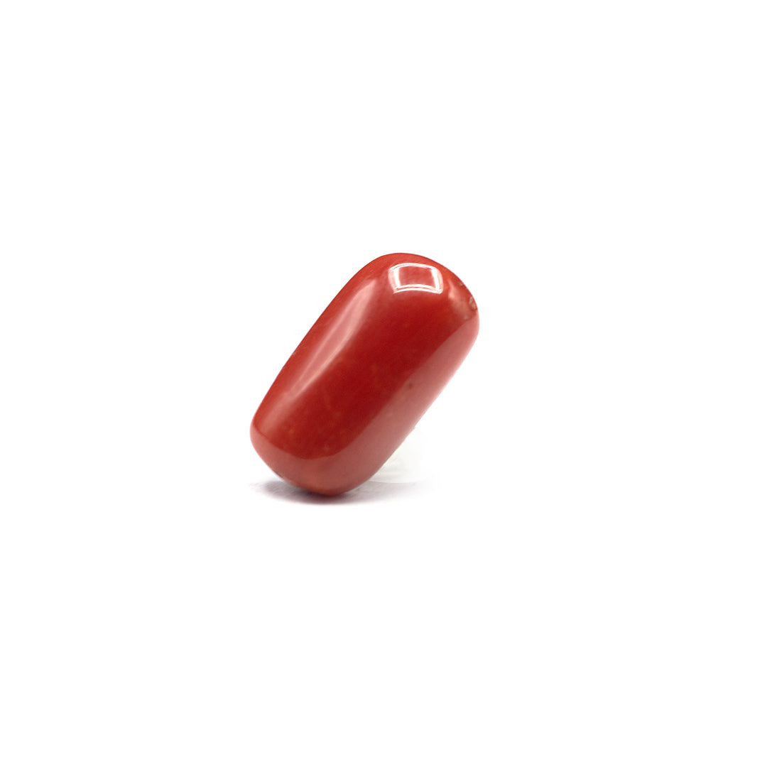 Coral - 4 crt