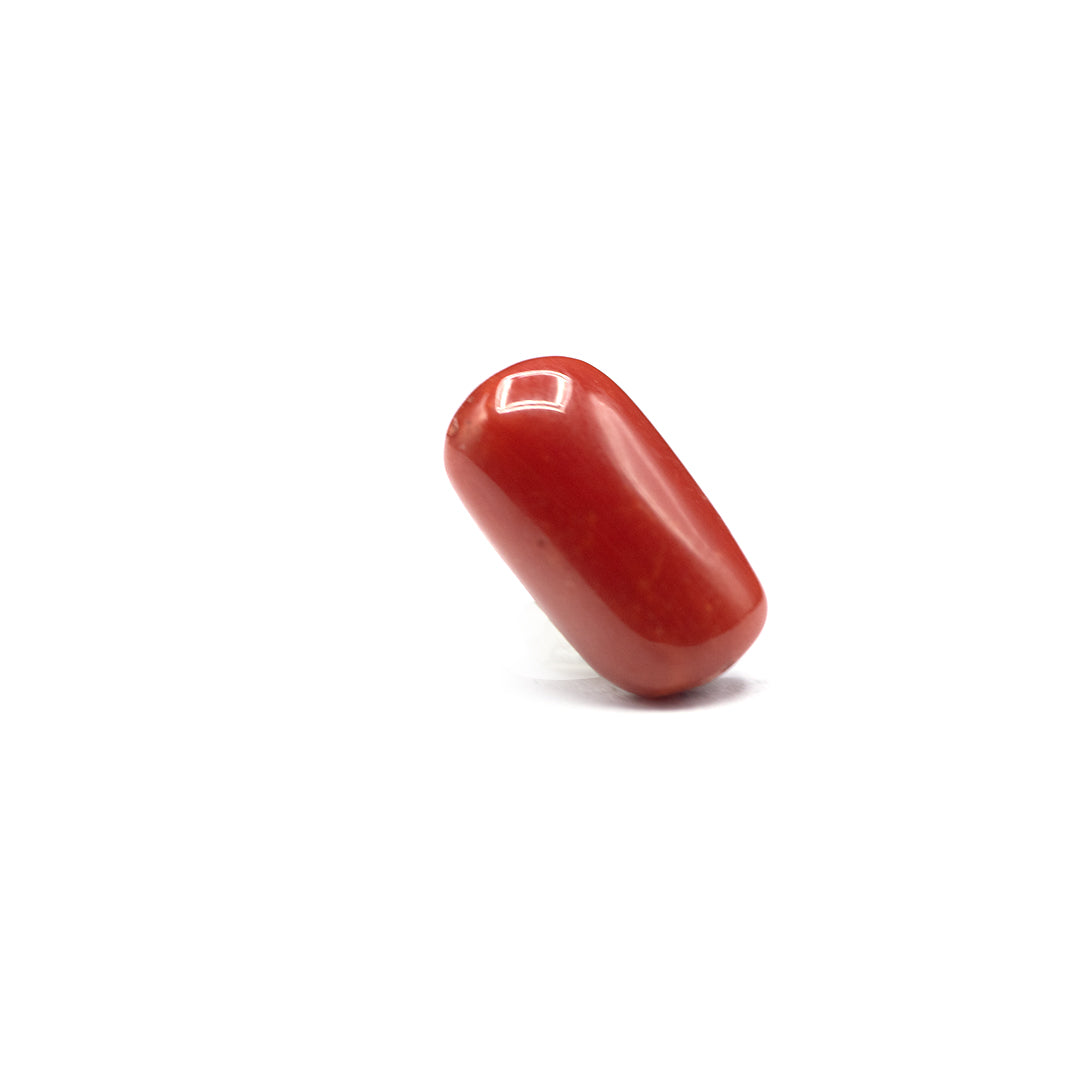 Coral - 4 crt