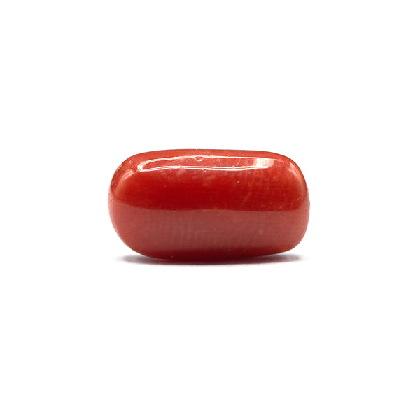 Coral - 4 crt