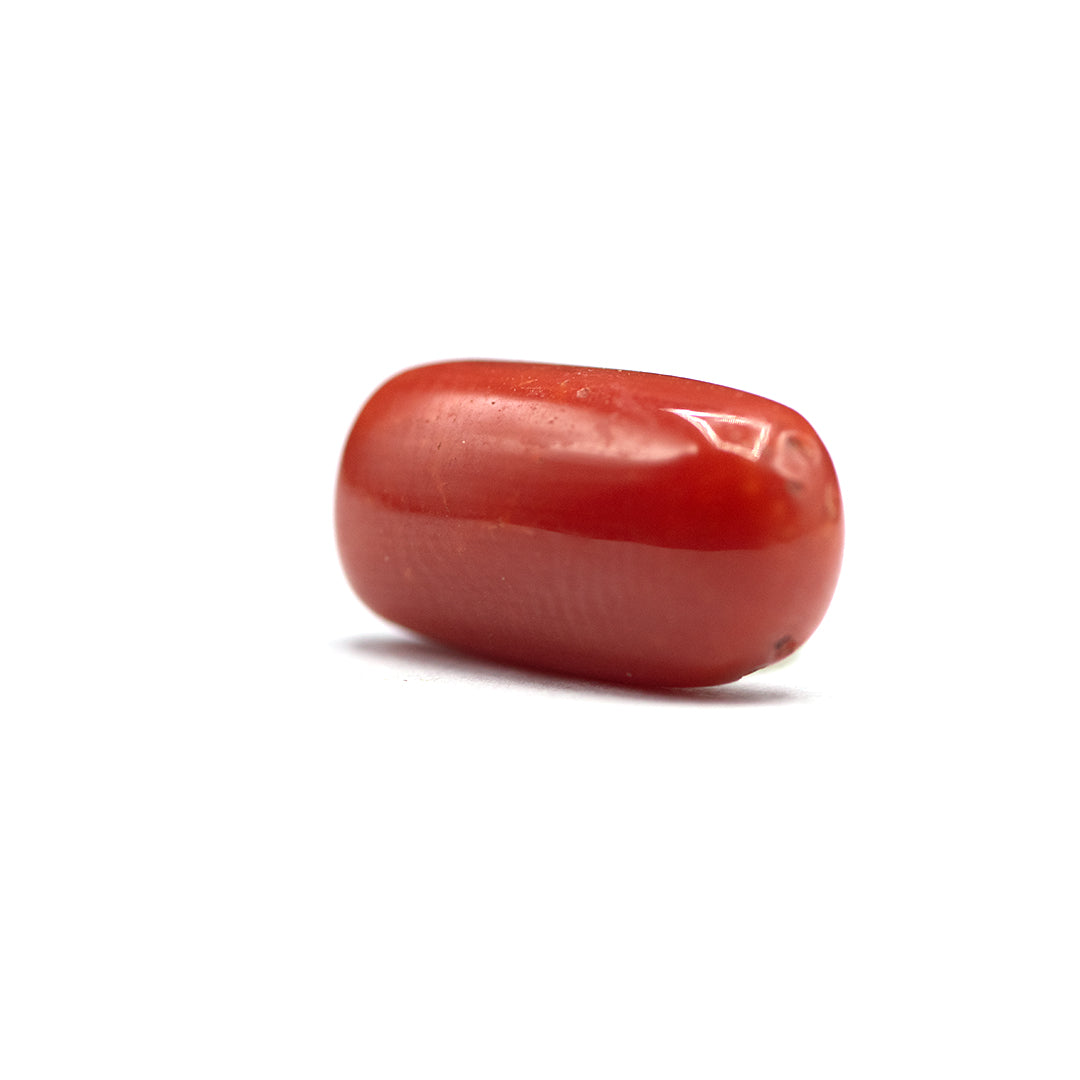 Coral - 4 crt