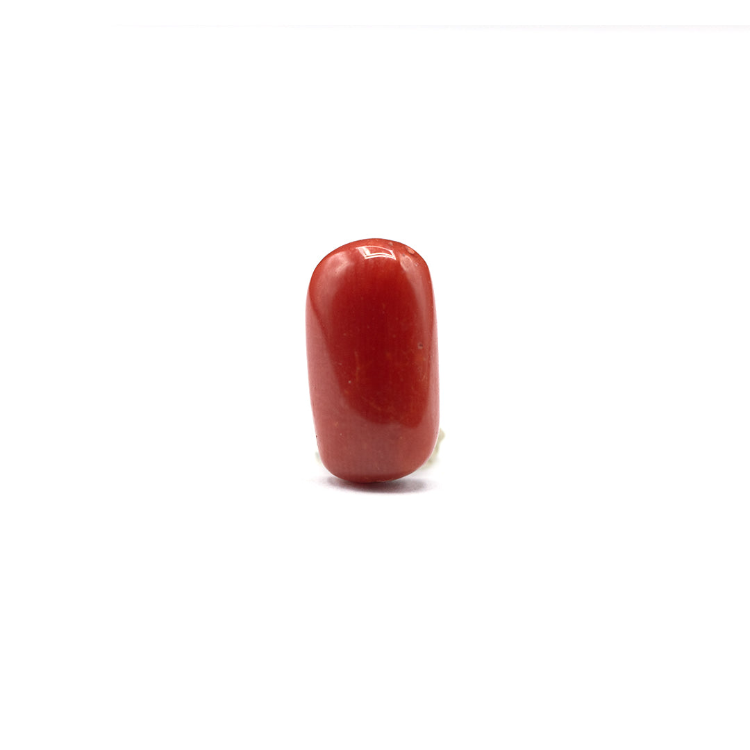 Coral - 4 crt