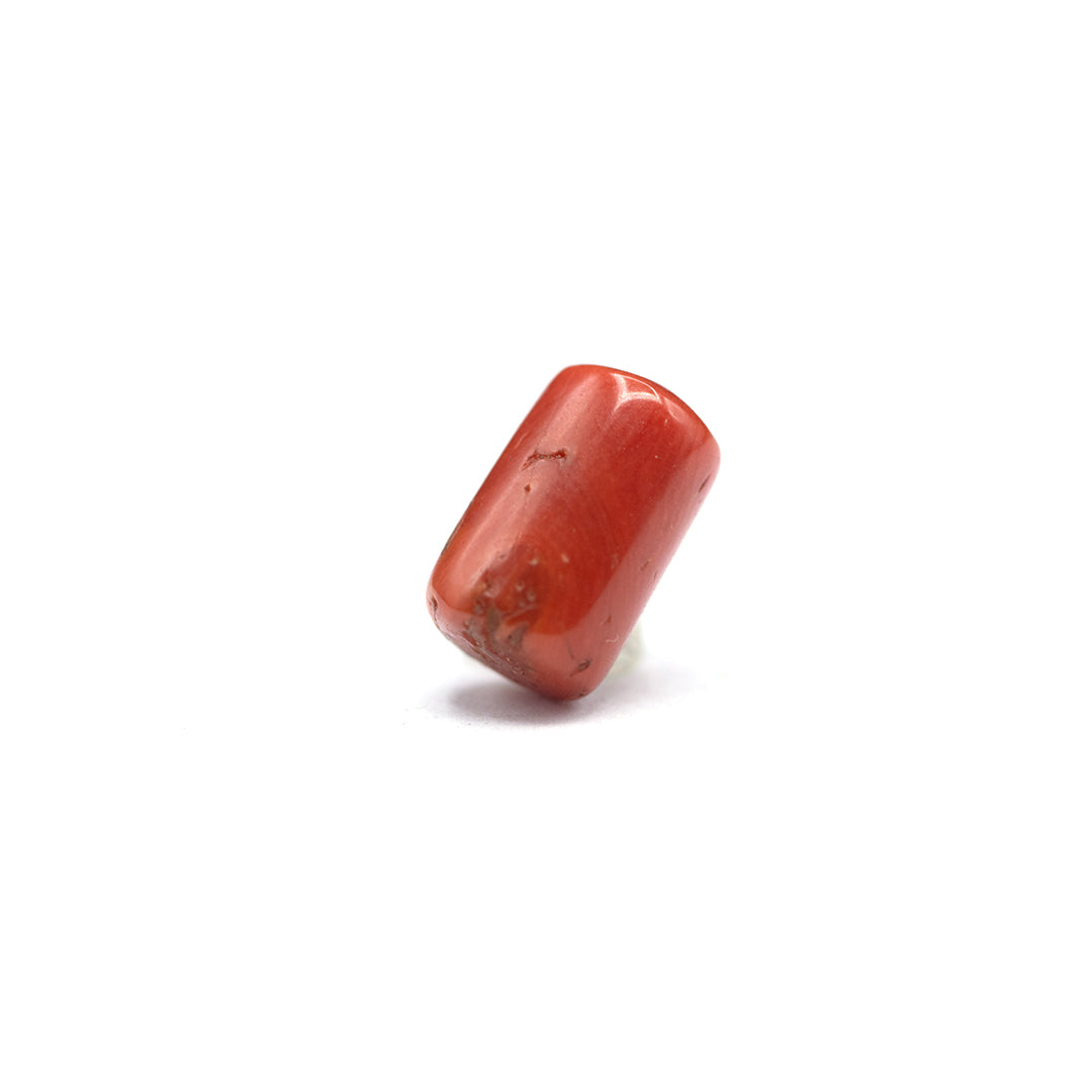 Coral - 6.5 crt