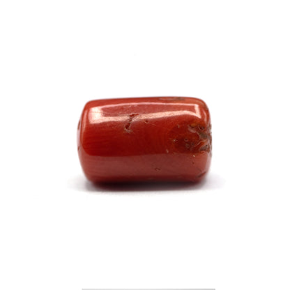 Coral - 6.5 crt