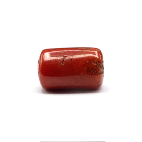 Coral - 6.5 crt