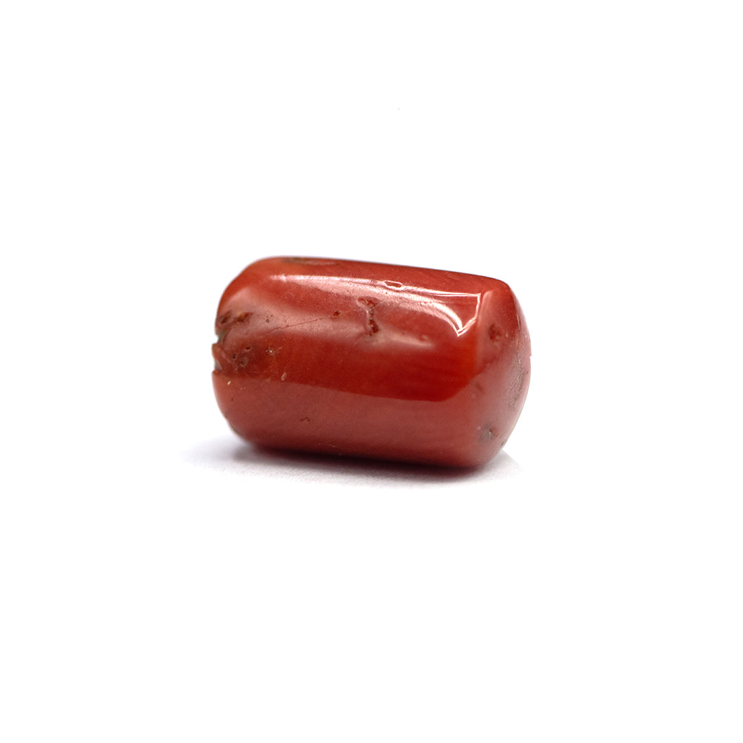 Coral - 6.5 crt