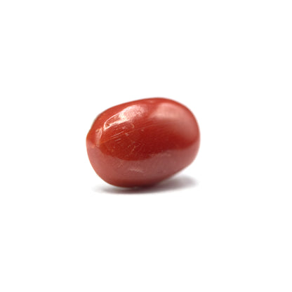 Coral - 3.95 crt