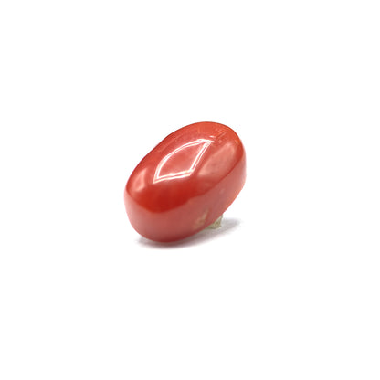 Coral - 3.95 crt