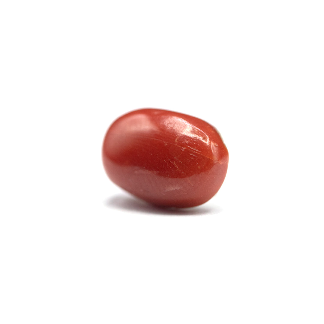 Coral - 3.95 crt