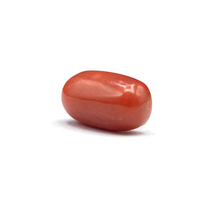 Coral - 5 crt