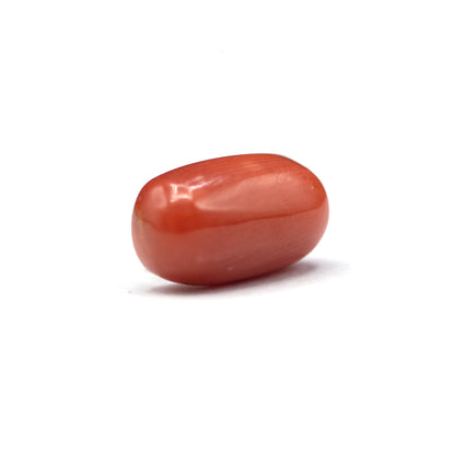Coral - 5 crt