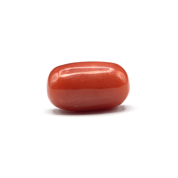 Coral - 5 crt