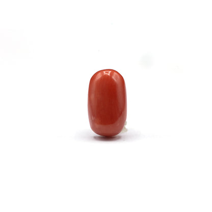 Coral - 5 crt