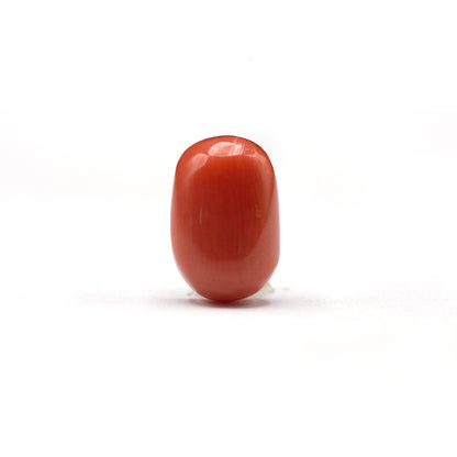 Coral - 4.85 crt