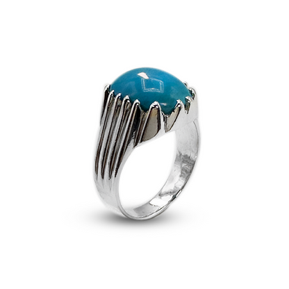 Feroza Men Ring – Sterling Silver Ring