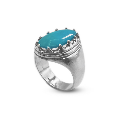 Feroza Men Ring – Shell Frame