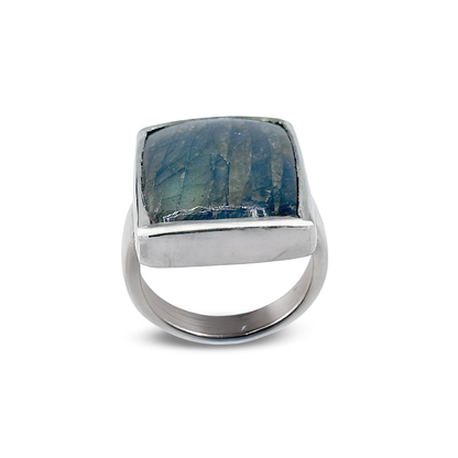 Labradorite Men Ring - Fance Design