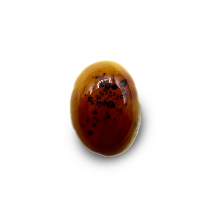 Sulamani Agate - 11.20 crt