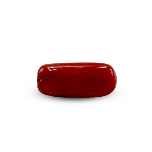 Red Coral - 6.25 crt