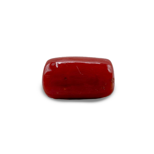 Red Coral - 6.2 crt