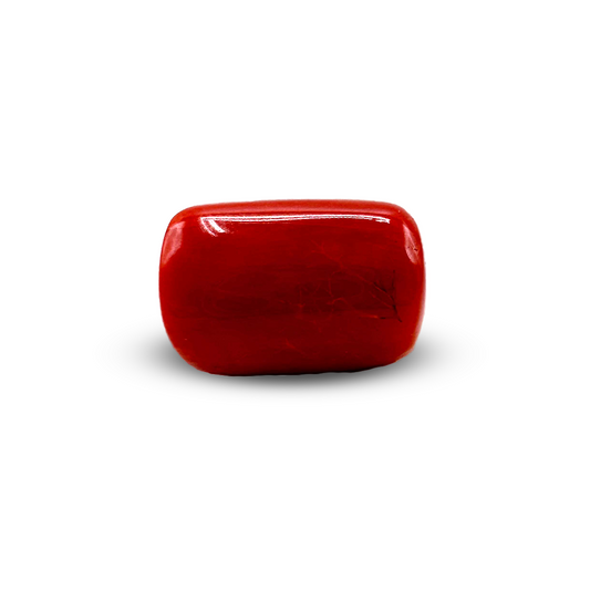 Red Coral - 16.95 crt