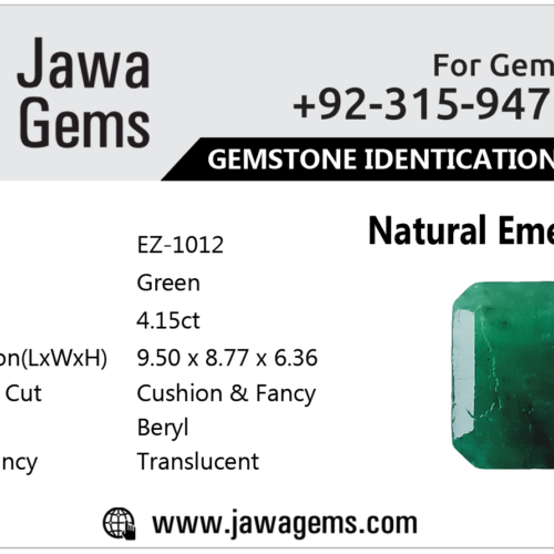 Emerald Report Card E-1012