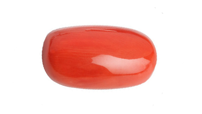 Red Coral - سرخ مرجان